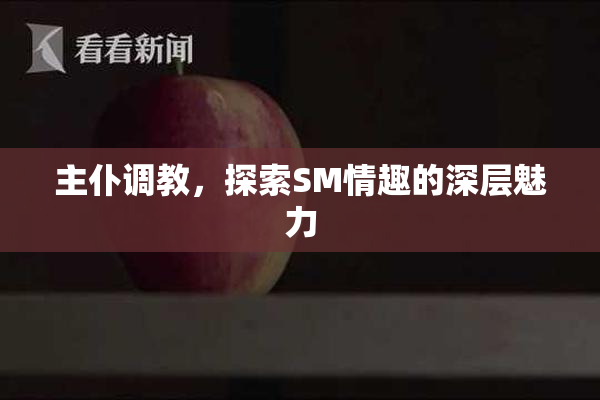 主仆调教，探索SM情趣的深层魅力