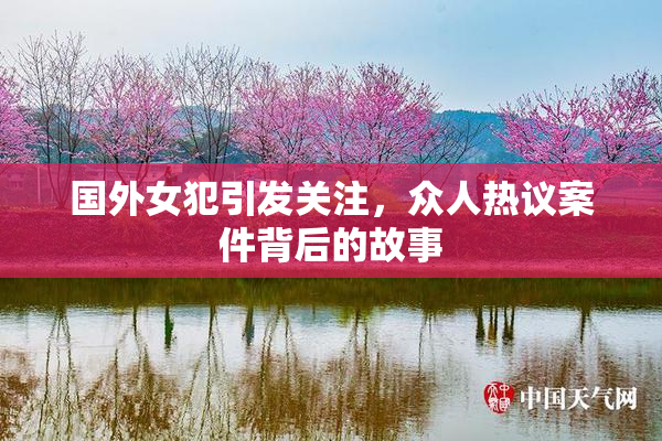 国外女犯引发关注，众人热议案件背后的故事