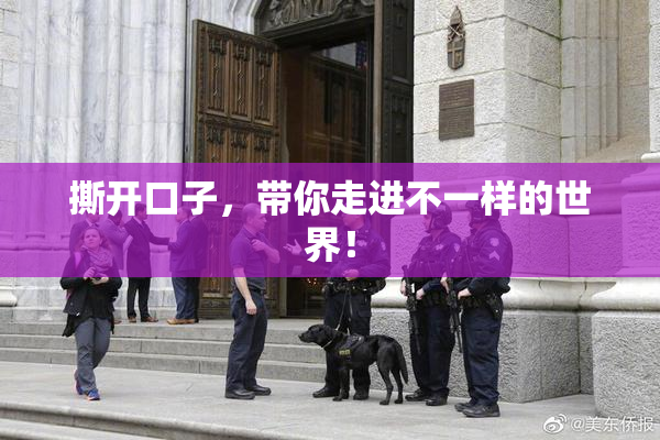 撕开口子，带你走进不一样的世界！