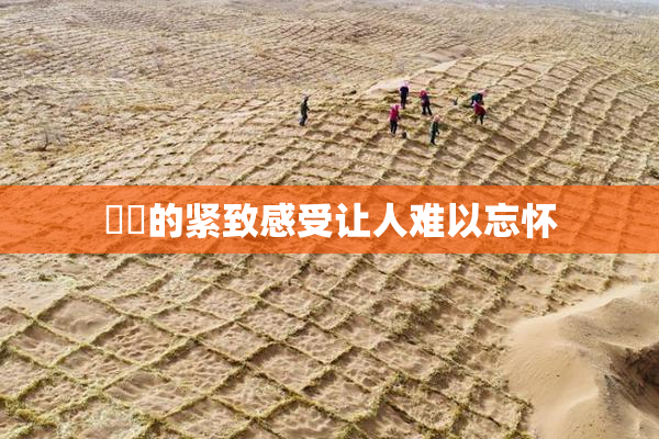 妺妺的紧致感受让人难以忘怀