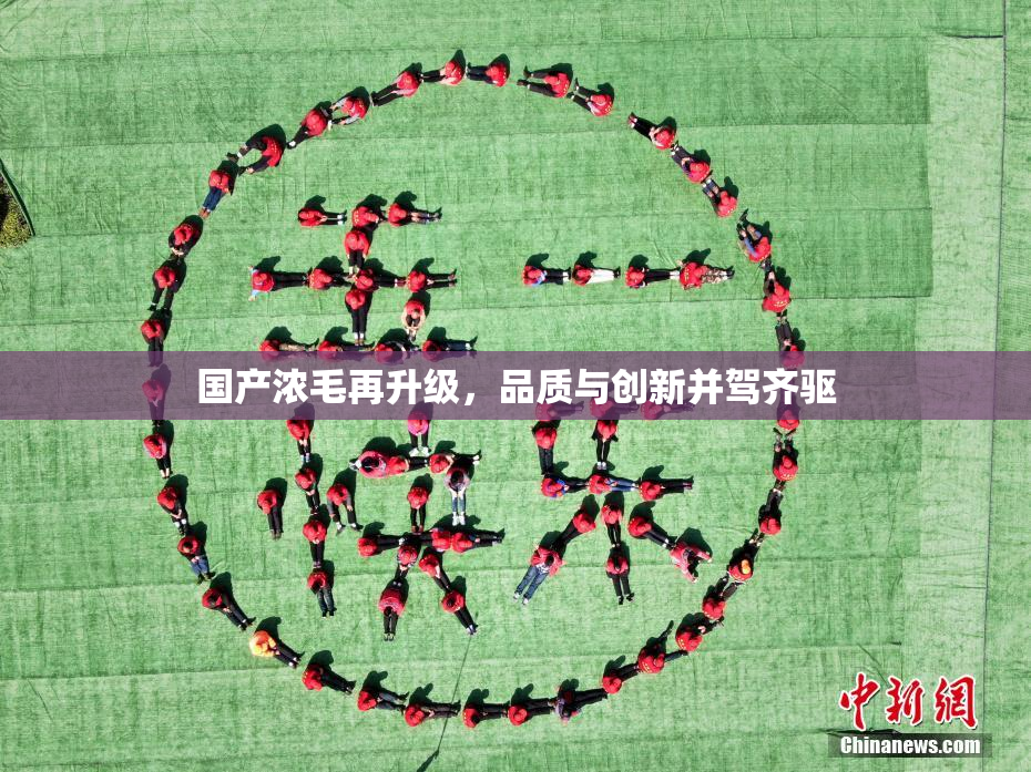 国产浓毛再升级，品质与创新并驾齐驱