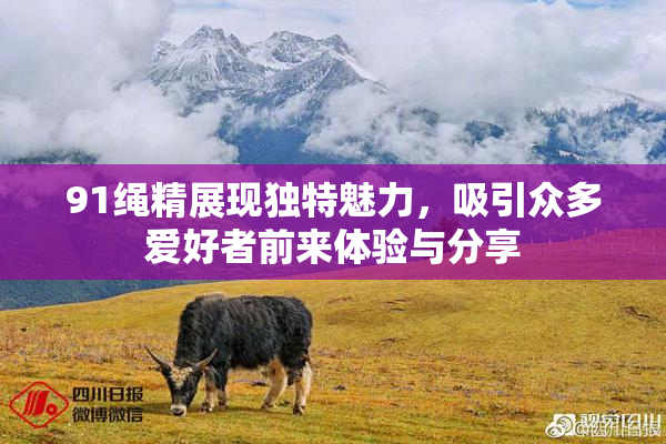 91绳精展现独特魅力，吸引众多爱好者前来体验与分享