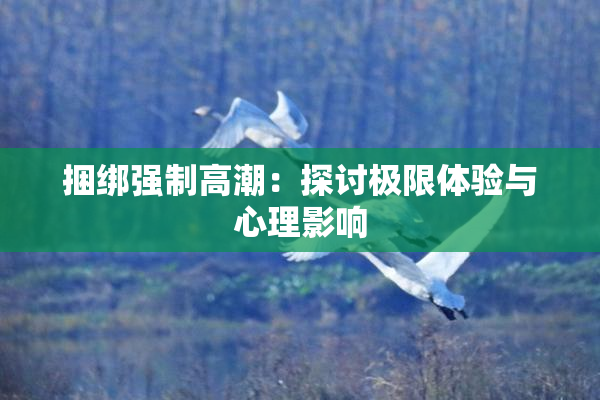 捆绑强制高潮：探讨极限体验与心理影响