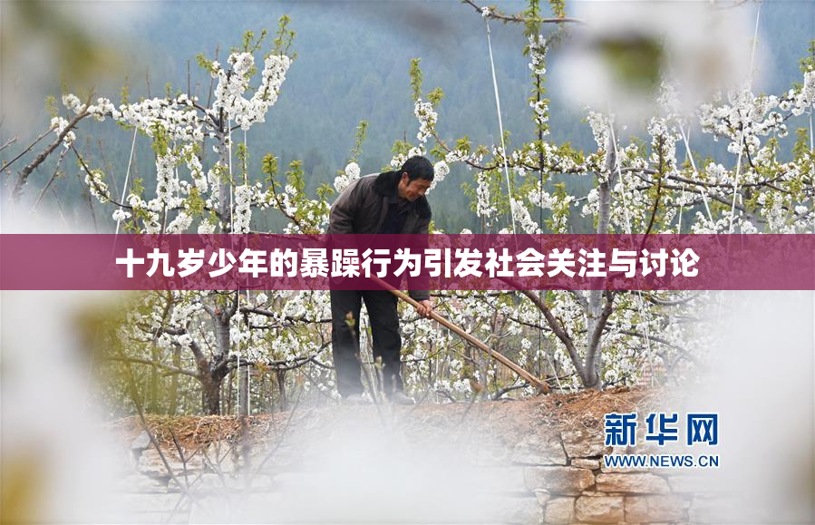 十九岁少年的暴躁行为引发社会关注与讨论