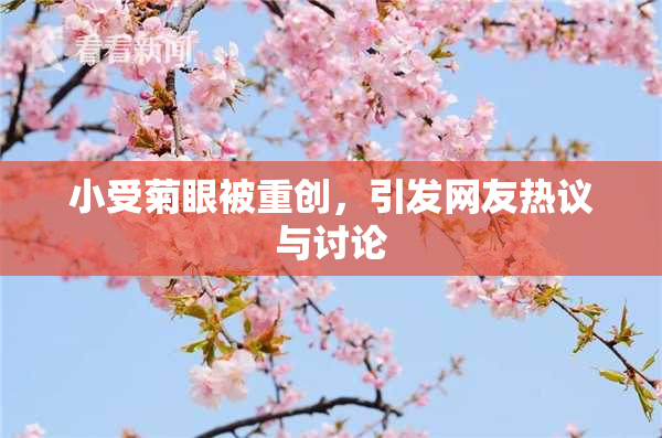 小受菊眼被重创，引发网友热议与讨论