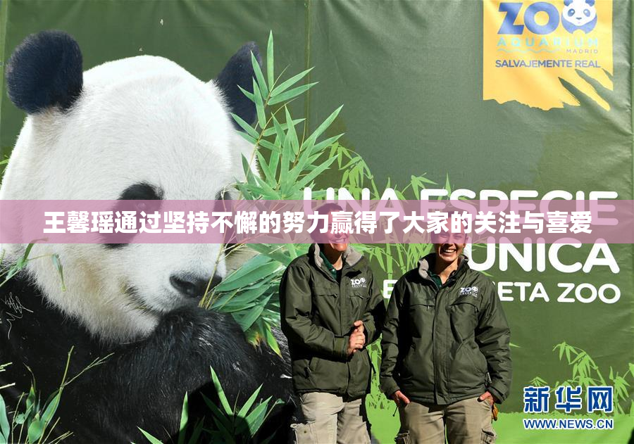 王馨瑶通过坚持不懈的努力赢得了大家的关注与喜爱