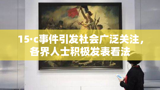 15·c事件引发社会广泛关注，各界人士积极发表看法