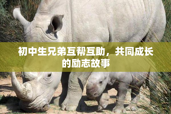 初中生兄弟互帮互助，共同成长的励志故事