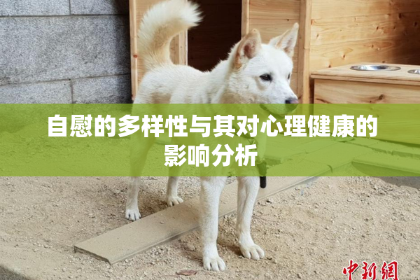 自慰的多样性与其对心理健康的影响分析