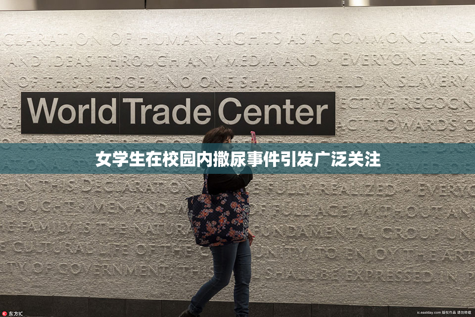 女学生在校园内撒尿事件引发广泛关注