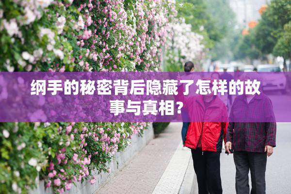 纲手的秘密背后隐藏了怎样的故事与真相？