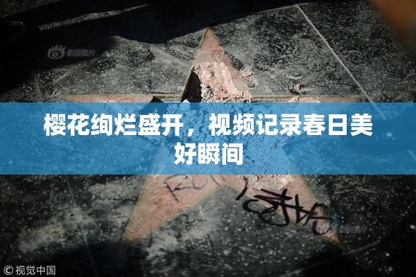 樱花绚烂盛开，视频记录春日美好瞬间