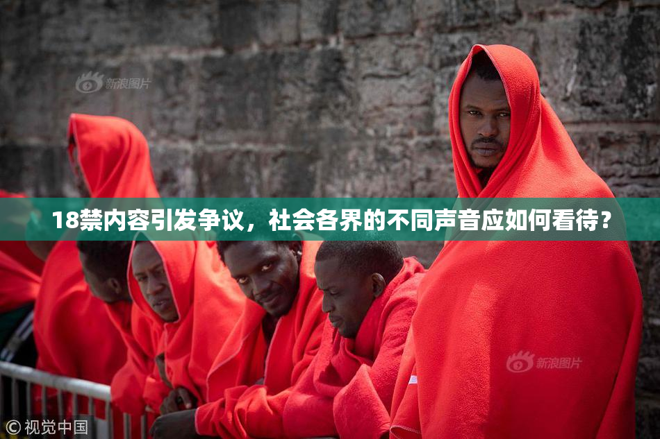 18禁内容引发争议，社会各界的不同声音应如何看待？
