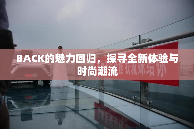 BACK的魅力回归，探寻全新体验与时尚潮流