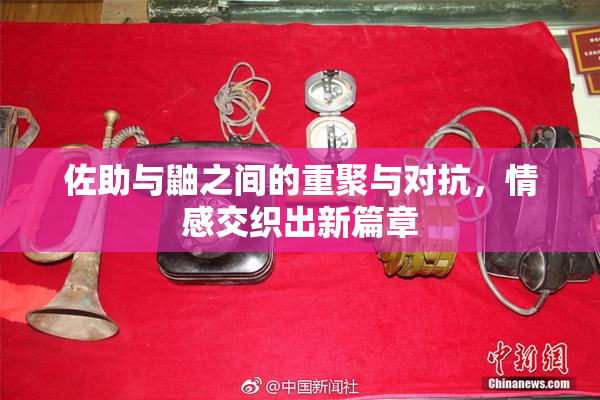 佐助与鼬之间的重聚与对抗，情感交织出新篇章