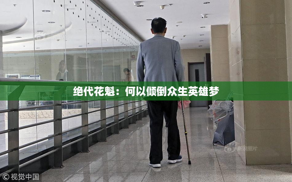 绝代花魁：何以倾倒众生英雄梦