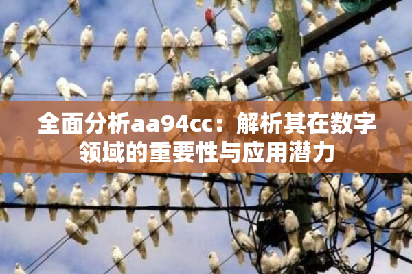 全面分析aa94cc：解析其在数字领域的重要性与应用潜力