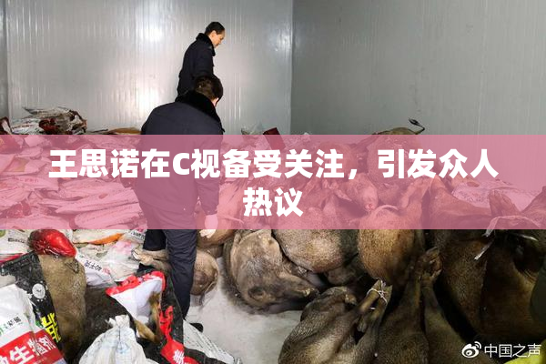 王思诺在C视备受关注，引发众人热议