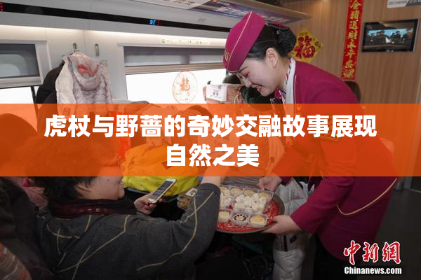 虎杖与野蔷的奇妙交融故事展现自然之美