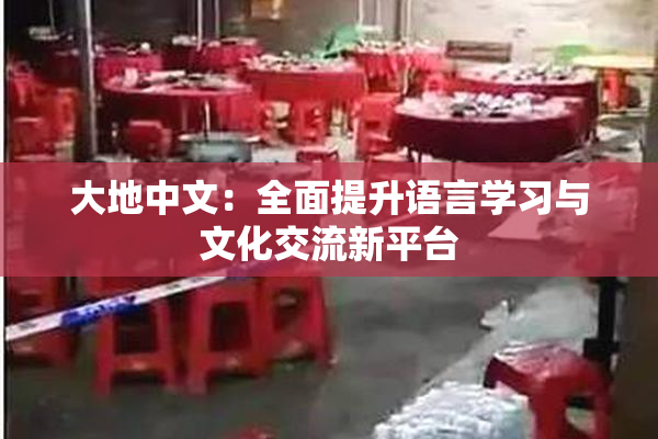 大地中文：全面提升语言学习与文化交流新平台