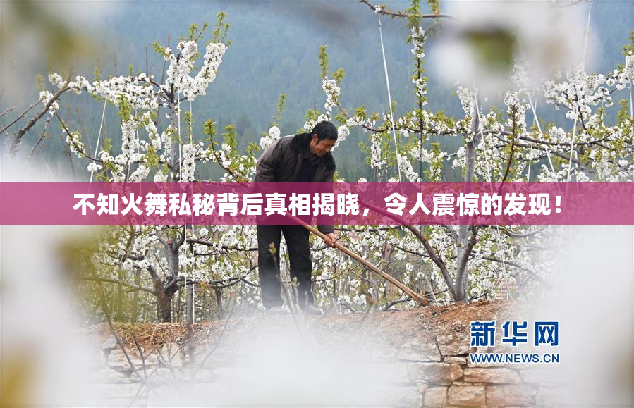 不知火舞私秘背后真相揭晓，令人震惊的发现！