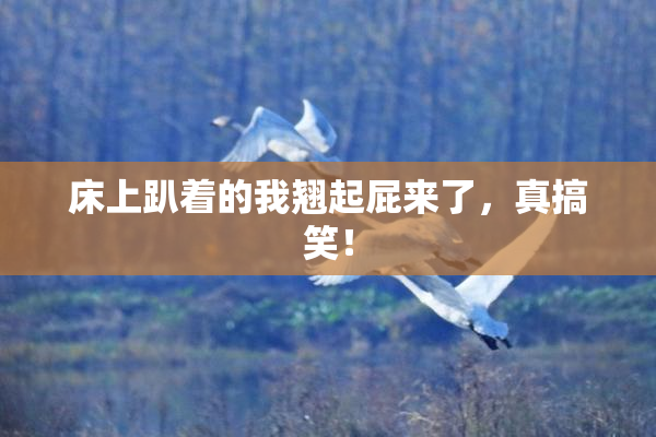 床上趴着的我翘起屁来了，真搞笑！
