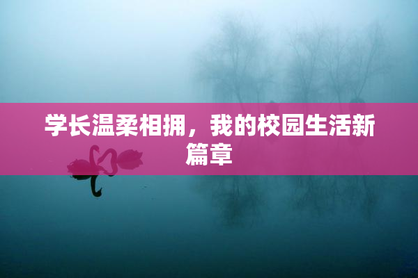 学长温柔相拥，我的校园生活新篇章