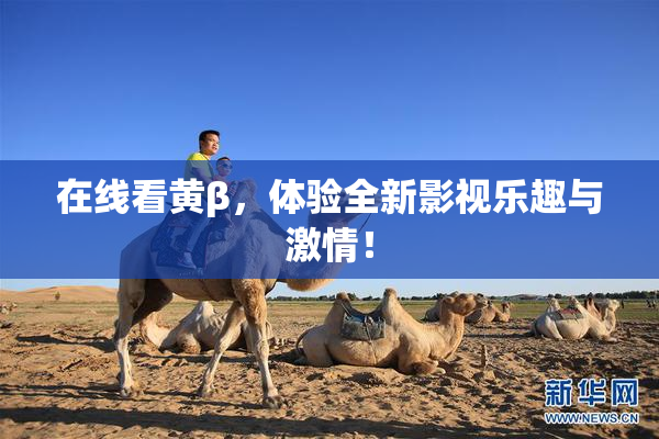 在线看黄β，体验全新影视乐趣与激情！