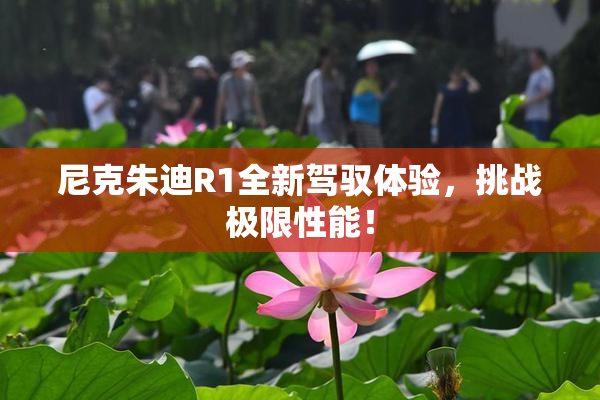 尼克朱迪R1全新驾驭体验，挑战极限性能！