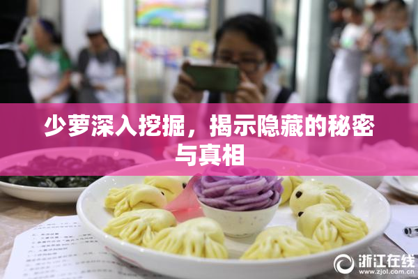 少萝深入挖掘，揭示隐藏的秘密与真相