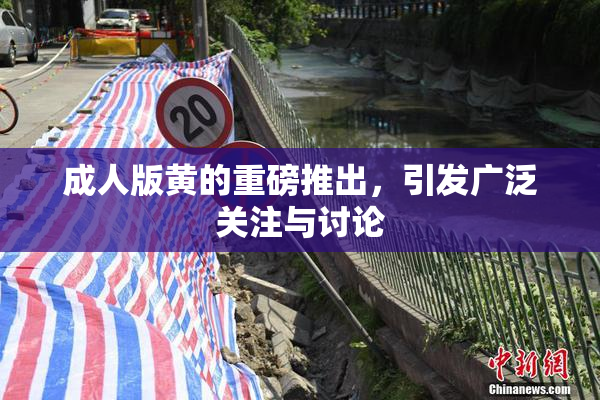 成人版黄的重磅推出，引发广泛关注与讨论