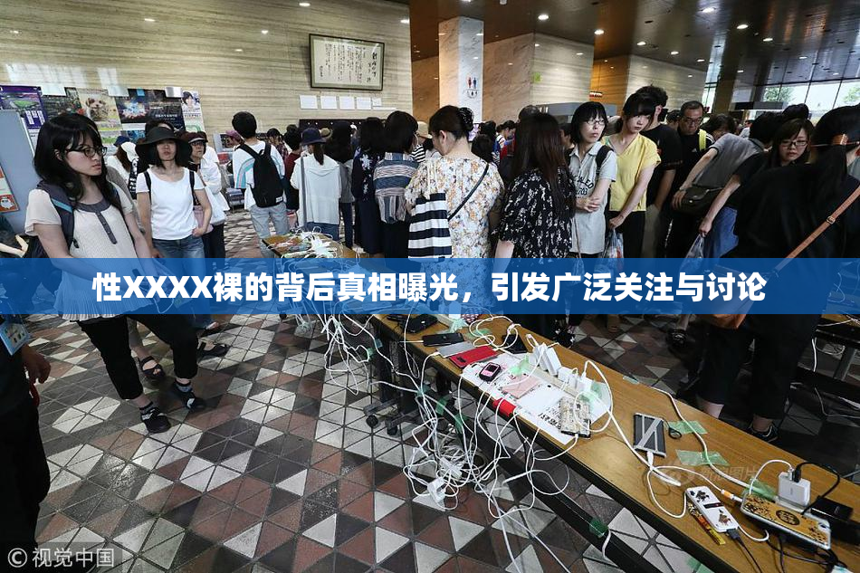 性XXXX裸的背后真相曝光，引发广泛关注与讨论