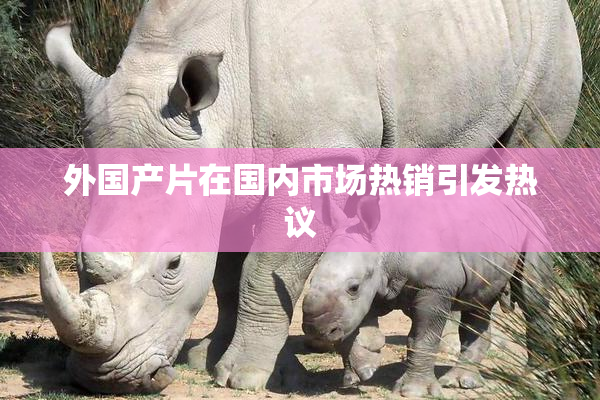 外国产片在国内市场热销引发热议