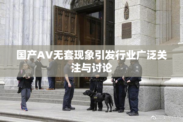 国产AV无套现象引发行业广泛关注与讨论