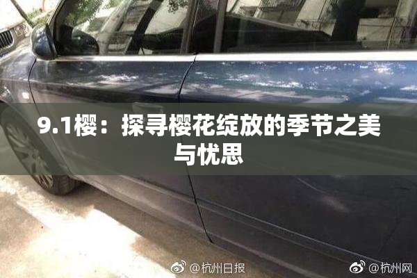 9.1樱：探寻樱花绽放的季节之美与忧思
