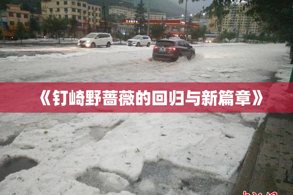 《钉崎野蔷薇的回归与新篇章》
