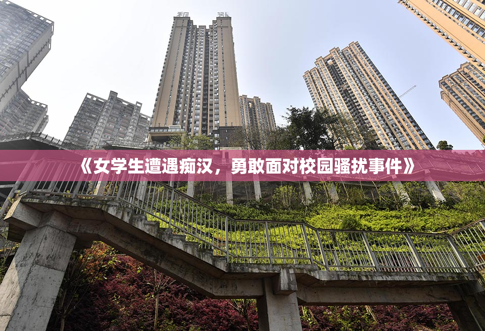 《女学生遭遇痴汉，勇敢面对校园骚扰事件》