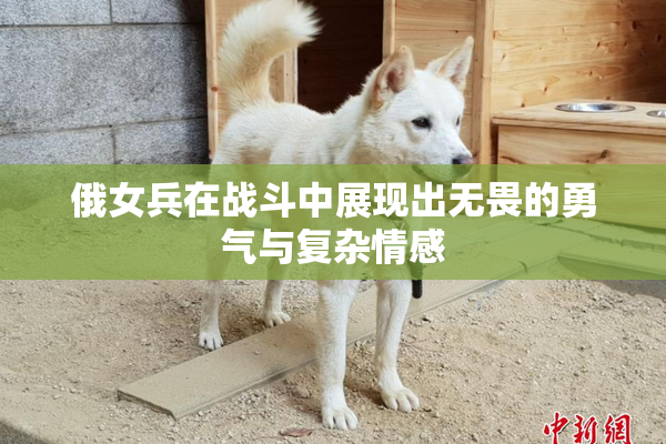 俄女兵在战斗中展现出无畏的勇气与复杂情感