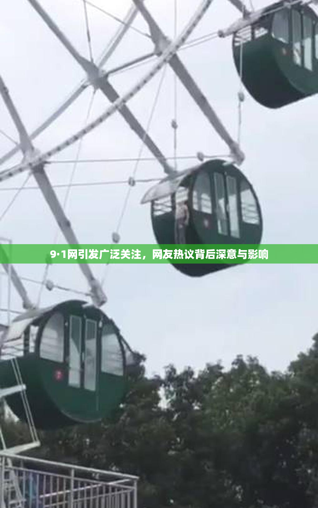 9·1网引发广泛关注，网友热议背后深意与影响