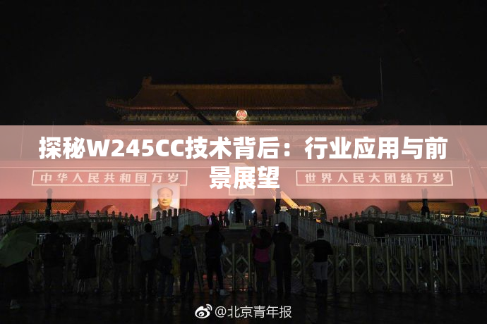 探秘W245CC技术背后：行业应用与前景展望