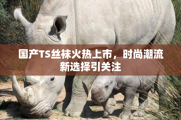 国产TS丝袜火热上市，时尚潮流新选择引关注