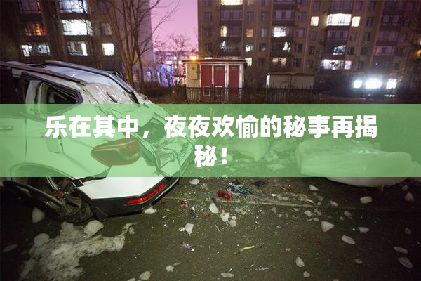 乐在其中，夜夜欢愉的秘事再揭秘！