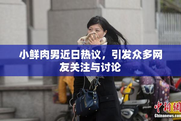 小鲜肉男近日热议，引发众多网友关注与讨论
