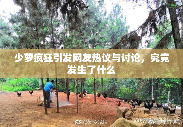 少萝疯狂引发网友热议与讨论，究竟发生了什么