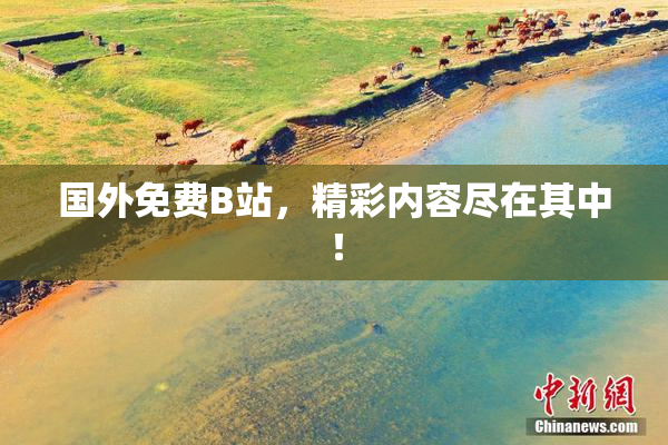 国外免费B站，精彩内容尽在其中！