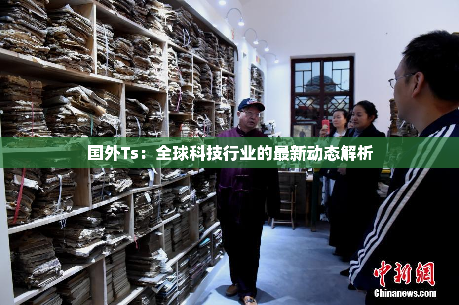 国外Ts：全球科技行业的最新动态解析