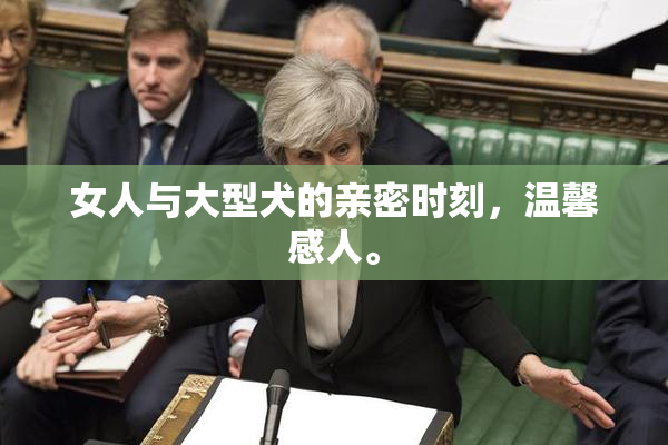 女人与大型犬的亲密时刻，温馨感人。