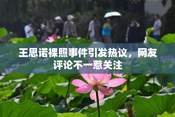 王思诺裸照事件引发热议，网友评论不一惹关注