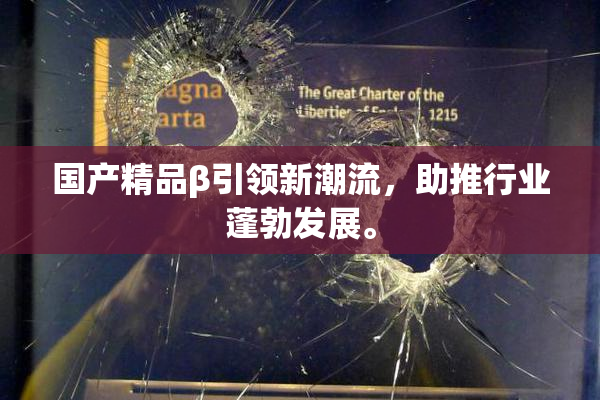 国产精品β引领新潮流，助推行业蓬勃发展。