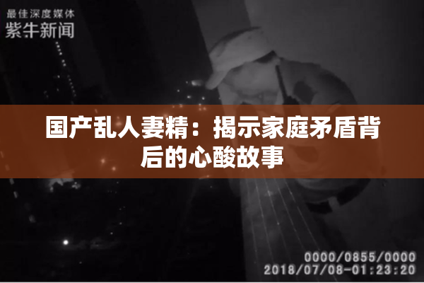 国产乱人妻精：揭示家庭矛盾背后的心酸故事